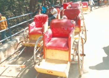 माथेरानमधील ई रिक्षाचे स्वप्न नजरेच्या टप्प्यात