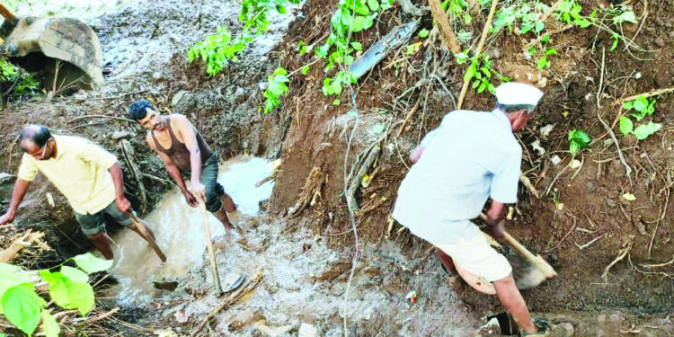 नागोठण्यात एमआयडीसीची जलवाहिनी फुटली