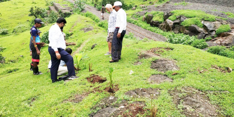 मिनीट्रेनचा नॅरोगेज मार्ग होणार दरड मुक्त
