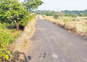 जावटे पुलाचे कठडे गायब