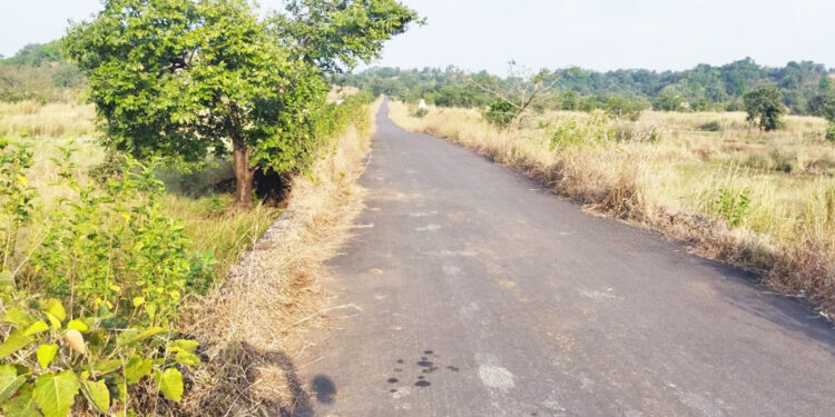 जावटे पुलाचे कठडे गायब