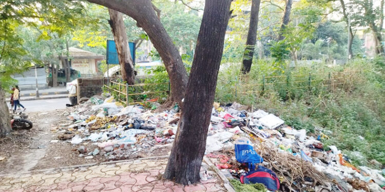 पनवेलमधील बंधारा तलावाची दुरवस्था