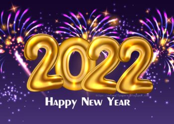 राजकीय चढ-उतारांचं वर्ष