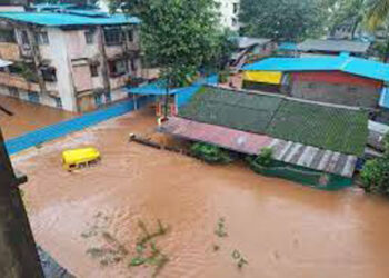 …अन्यथा कोकण उद्धवस्त होईल