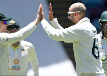 लायनकडून लायन्सचीच शिकार