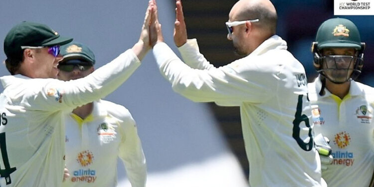 लायनकडून लायन्सचीच शिकार