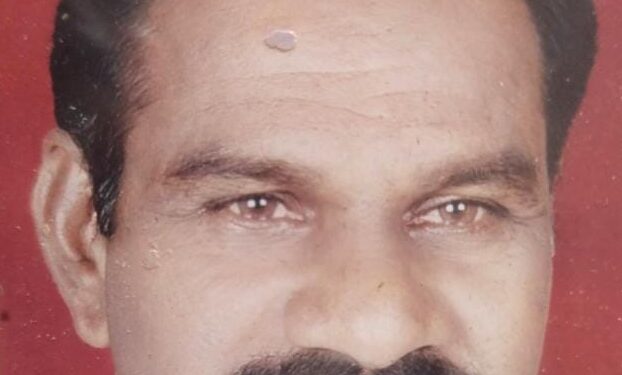 नारायण सुटे यांचे निधन