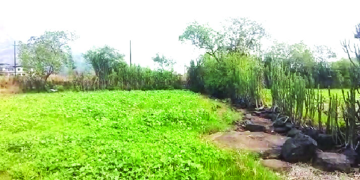 थंडीच्या दिवसात पावसाच्या सरी