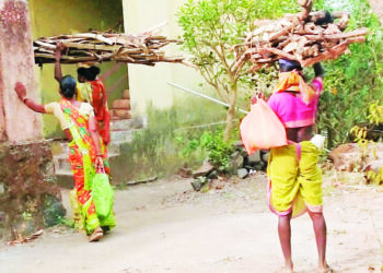 सुक्या लाकडांच्या किमतीत वाढ