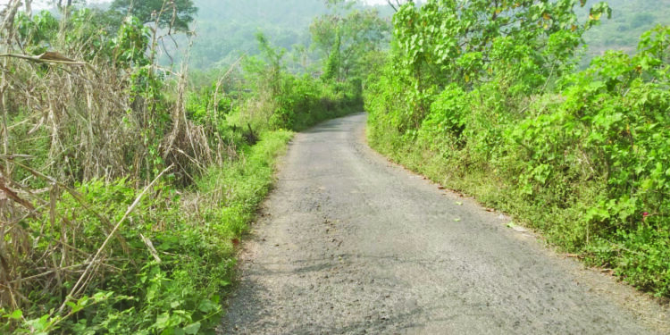 देवकान्हे ते चिल्हे मार्ग डांबरीकरणाच्या प्रतिक्षेत