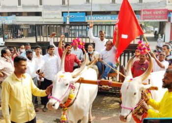 चित्रलेखा पाटील यांच्या हस्ते बैलगाडीचे पूजन