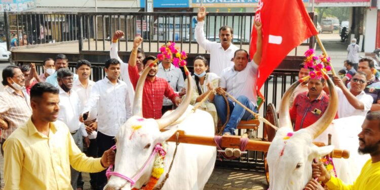 चित्रलेखा पाटील यांच्या हस्ते बैलगाडीचे पूजन