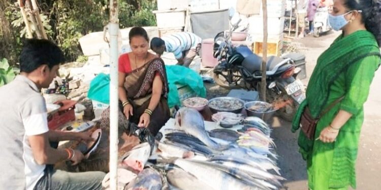 मासळीची आवक वाढली