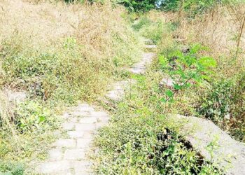 कर्जत तहसीलची पायवाट हरवली गवतात; सामान्यांचे हाल