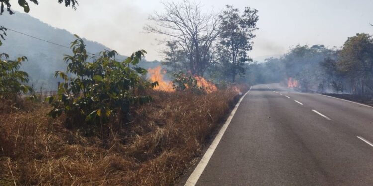 नारायणगाव रस्त्याच्या कडेला वणवा