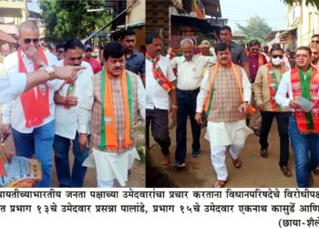 पोलादपूरचा नियोजनबध्द विकास करु – दरेकर