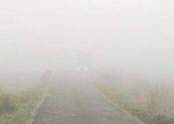 धुक्यात हरवला रोहा मार्ग