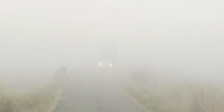 धुक्यात हरवला रोहा मार्ग