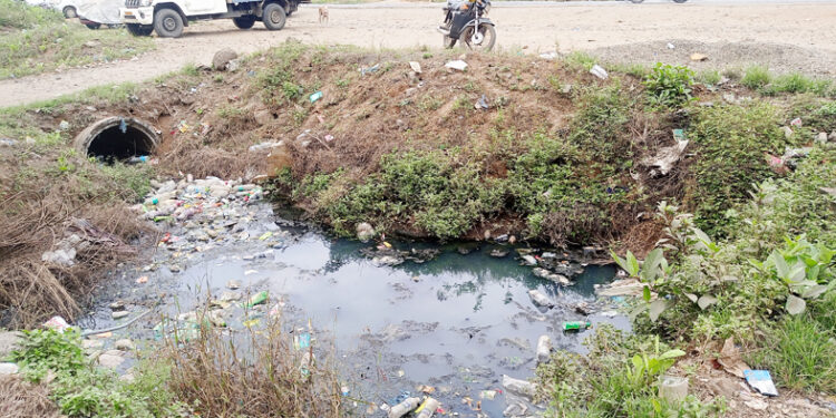 आंबेवाडी नाक्यावर गटाराची दुर्गंधी