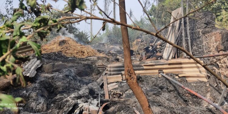 खालापुरात धामणी येथील पेंढयांची गंजी आणि माच विद्युत लाईनीच्या स्पार्कमुळे पेटली; 3 लाखाचे नुकसान