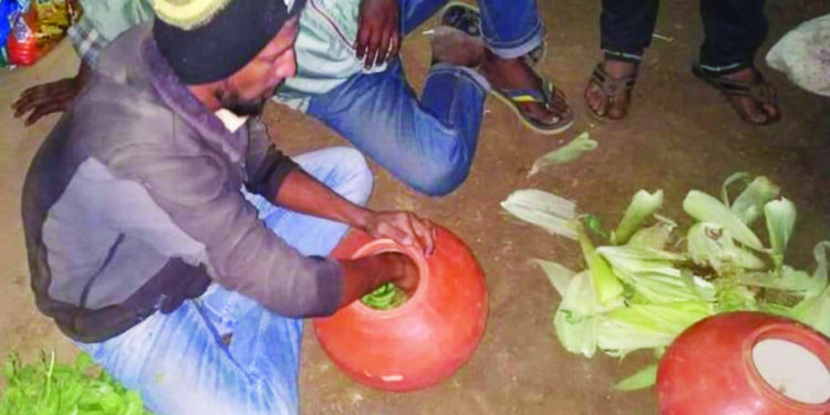 रायगड जिल्ह्यात पोपटी पार्ट्यांना सुरूवात