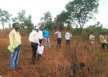 वनक्षेत्र विभागाकडून रस्त्यांचा सर्व्हे