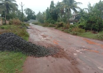 दिघी रस्ता दुरूस्तीच्या प्रतीक्षेत