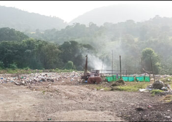 तळा शहरातील डम्पिंग ग्राऊंडचा प्रश्‍न गंभीर