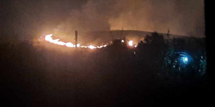 शिरसे टेकडी जळून खाक; वन विभागाचे दुर्लक्ष