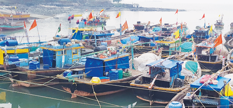 अतिथंडीमुळे मासेमारी पूर्णतः ठप्प