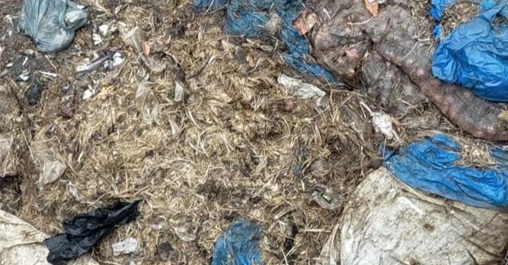 स्मशानभूमीजवळ खराब मासाची रास