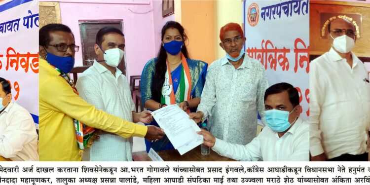 पोलादपूर नगरपंचायतीसाठी 17 उमेदवारी अर्ज