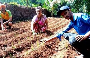 कोकणच्या मातीत लसणाचा ठसका