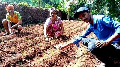 कोकणच्या मातीत लसणाचा ठसका