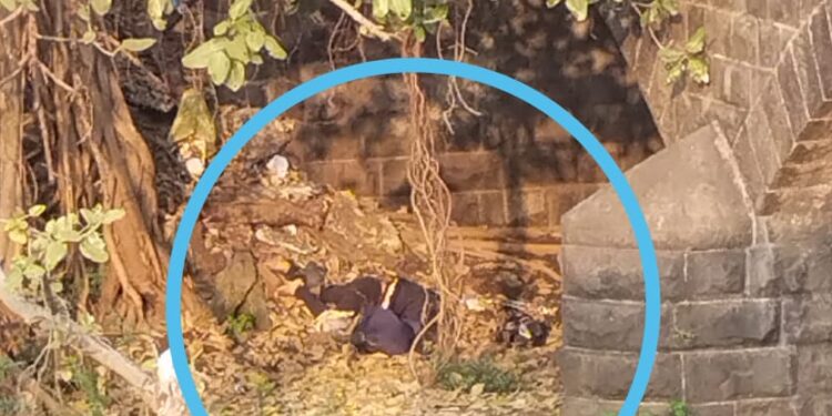 अलिबाग-पेण मार्गावर तळवली येथे अपघात; १ जण जागीच ठार