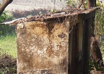 चिंचोटीच्या सरपंचाचा गैरव्यवहार उघड; शेकाप आक्रमक