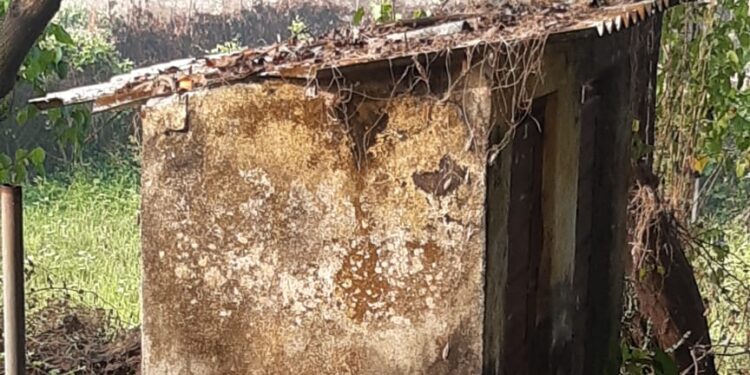 चिंचोटीच्या सरपंचाचा गैरव्यवहार उघड; शेकाप आक्रमक