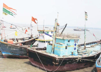 मासळीची आवक घटली