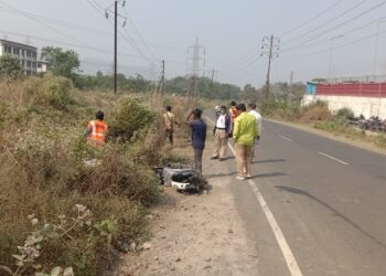 रस्त्यालगत वाढलेले गवताची छाटणी