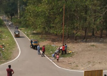 नवीन विद्युत खांब उभारणीचे काम सुरू