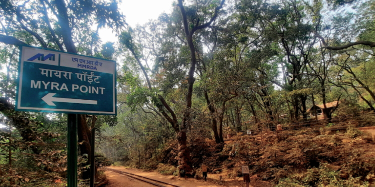 माथेरानची ओळख पुसण्याची भीती