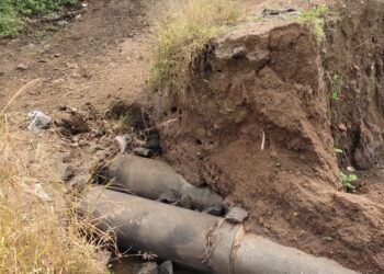 पावसाळ्यात वाहून गेलेल्या कालव्यांमुळे भातशेतीत अडथळे