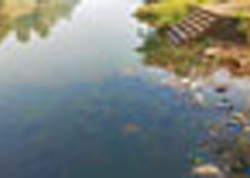 अंबा नदी प्रदूषणाच्या विळख्यात