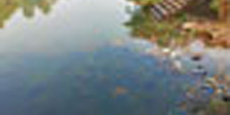 अंबा नदी प्रदूषणाच्या विळख्यात