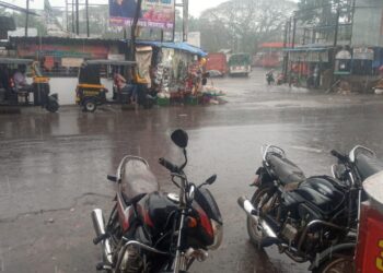 अवेळी पावसाने रायगडमध्ये पिकांचे नुकसान