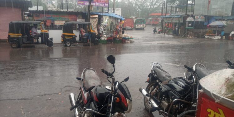 अवेळी पावसाने रायगडमध्ये पिकांचे नुकसान