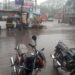 अवेळी पावसाने रायगडमध्ये पिकांचे नुकसान