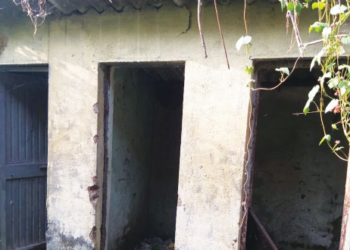 पालीत विकासाच्या नावाची बोंबाबोंब