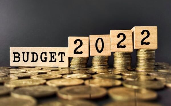 Budget 2022 : कृषी क्षेत्रासाठी मोठ्या घोषणा