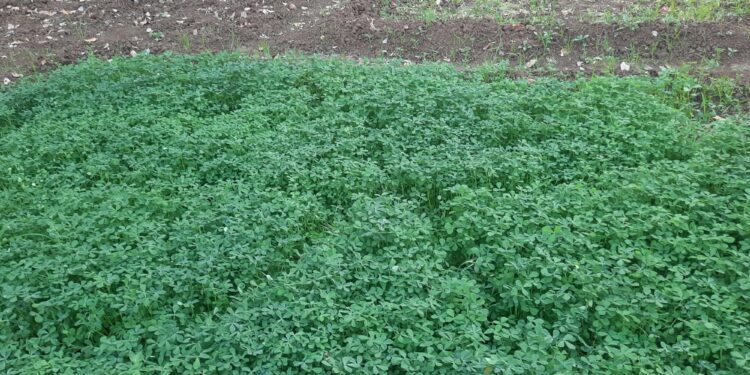 शेती व्यवसायातून धरली प्रगतीची कास